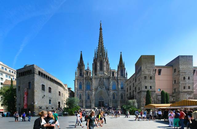 Кафедральный собор (Барселона, 2013 г.)